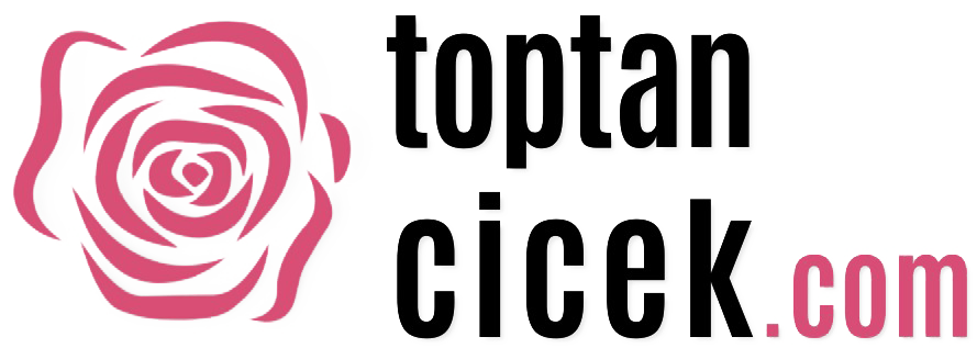 www.toptancicek.com
